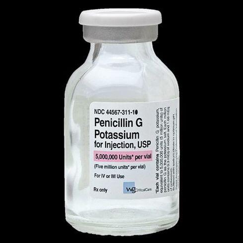 Где Можно Купить Пенициллин В Порошке