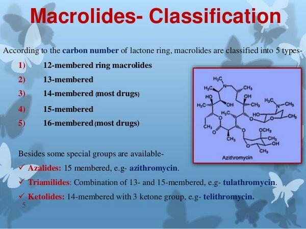 Macrolides Macrolides