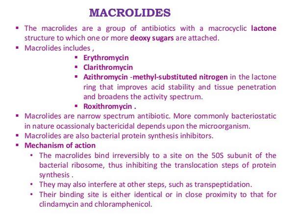 Macrolides Macrolides