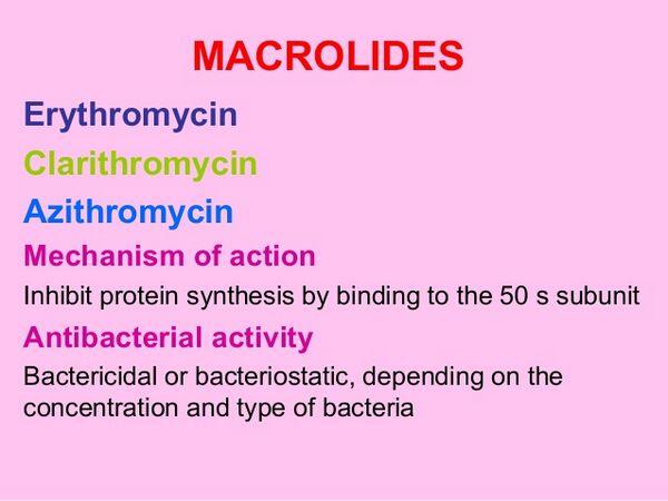 Macrolides Macrolides
