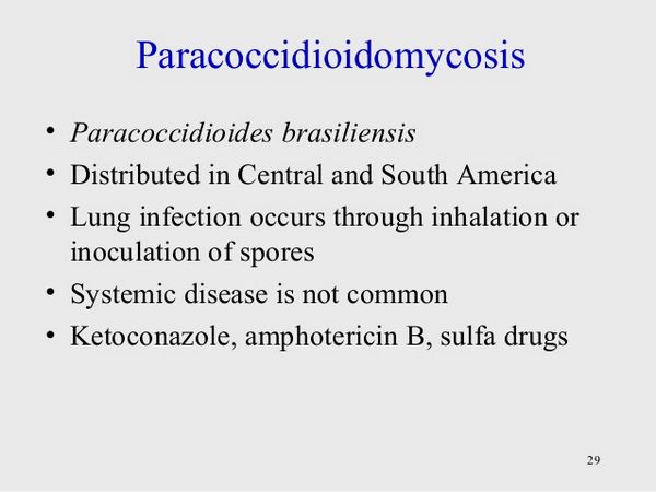Ketoconazole Paracoccidioidomycosis Ketoconazole Paracoccidioidomycosis