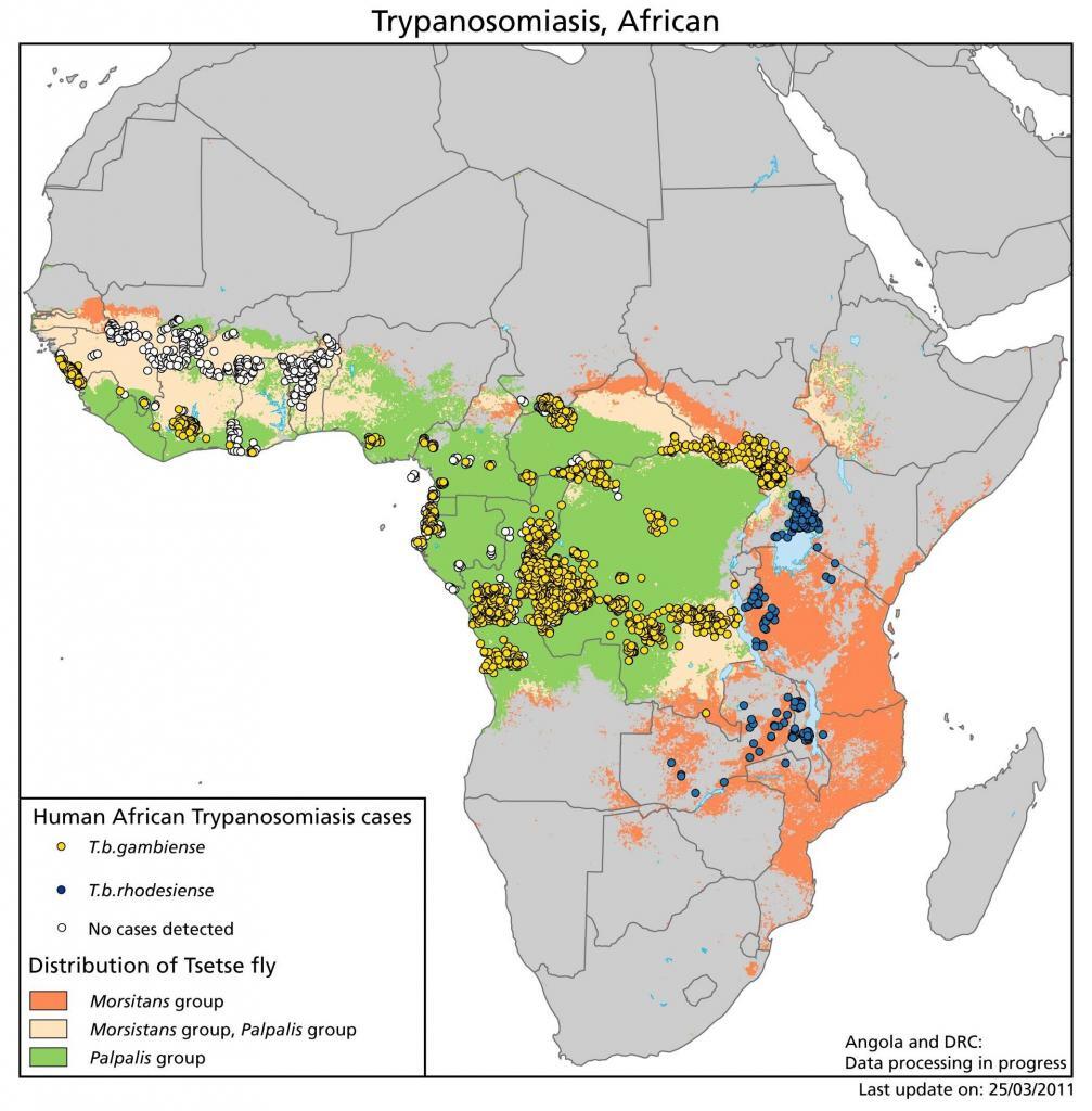 African Trypanosomiasis - Parasitic Infections - AntiinfectiveMeds.com