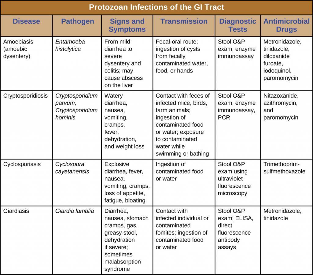 Giardia: Clinical Syndromes - Parasitic Infections - AntiinfectiveMeds.com