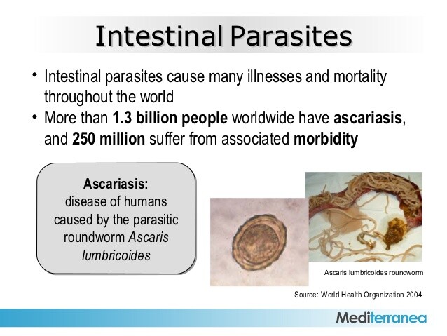 Intestinal Disease Parasitic Infections