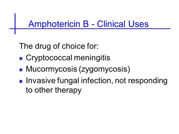 Amphotericin B: Uses - Antifungal Drugs - AntiinfectiveMeds.com