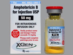 Amphotericin B - Antifungal Drugs - AntiinfectiveMeds.com