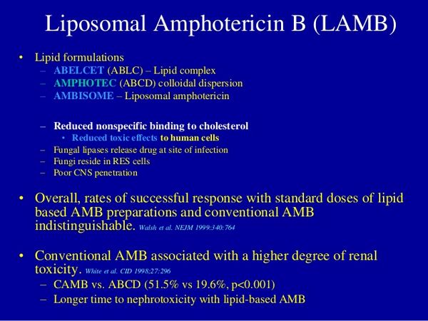 AmBisome 50 Mg Powder For Solution For Infusion (Liposomal Amphotericin ...