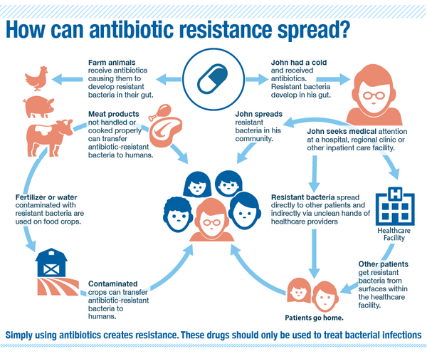 Antibiotic Resistance Bronchitis 3351