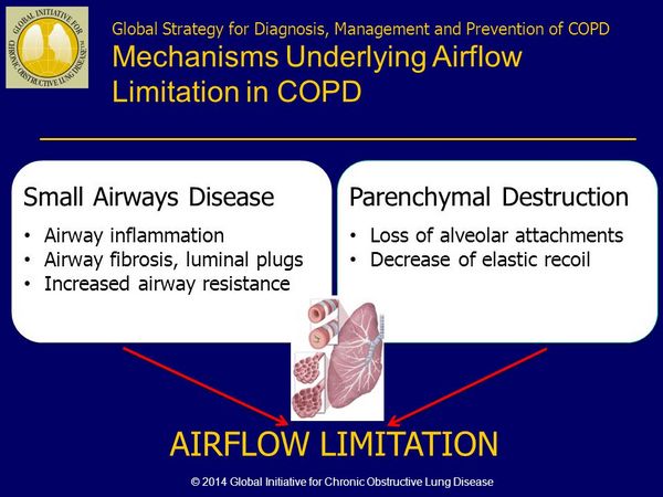 Chronic Underlying Airway Disease Acute Exacerbations Of Copd 