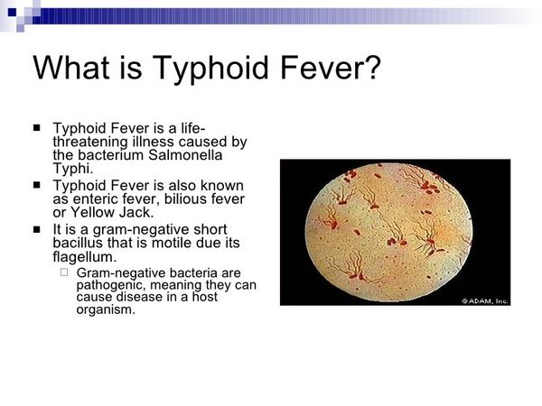 enteric-fever-bacterial-infections-antiinfectivemeds