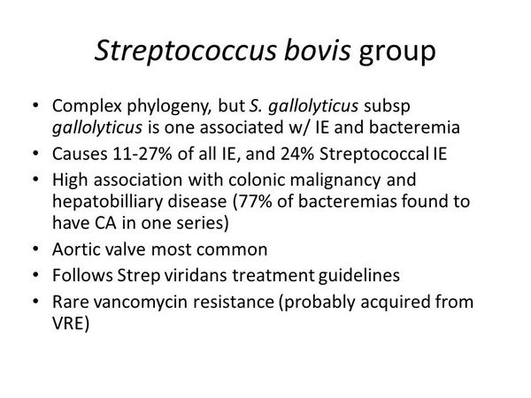 Other Gram-Positive Cocci - Bacterial Infections - AntiinfectiveMeds.com