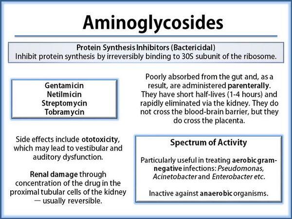 aminoglycoside synergy for mac