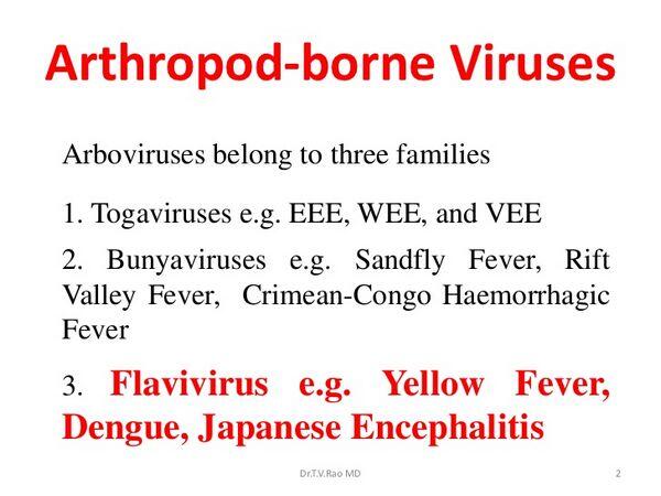 Arthropod-Borne Viral Encephalitis - Viral Infections ...