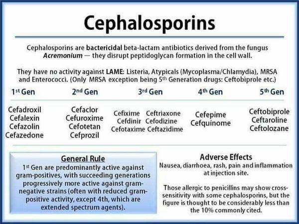 Cephalosporins: Cefaclor, Cefadroxil, Cefazolin, Cefdinir, and Other