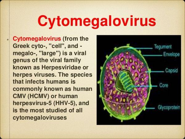 cytomegalovirus-viral-infections-antiinfectivemeds