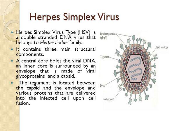 Herpes Simplex Virus Viral Infections