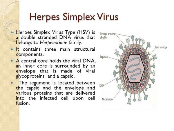 Herpes Simplex Virus Viral Infections AntiinfectiveMeds