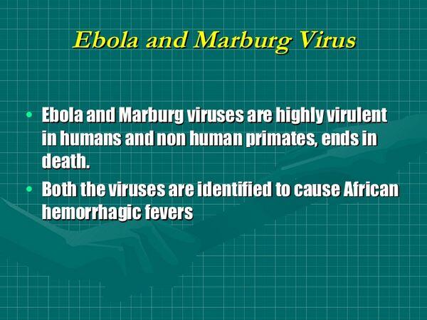 Marburg Ebola Virus Viral Infections Antiinfectivemeds Com