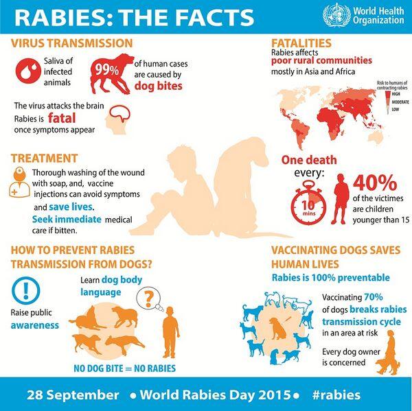 Rabies - Viral Infections - AntiinfectiveMeds.com