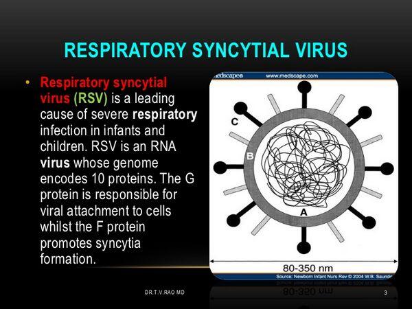 respiratory-syncytial-virus-viral-infections-antiinfectivemeds